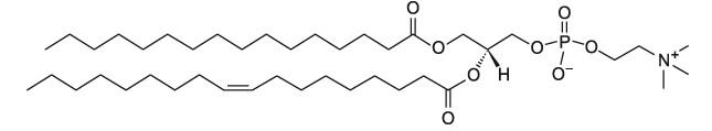 1-棕櫚酰基-2-油?；蚜字?/></a></td>
             </tr>
           </table>
          </div><!--st_lis_ler-->
          <div   id=